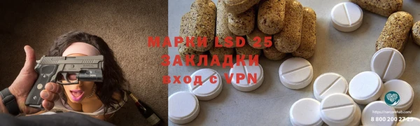 ПСИЛОЦИБИНОВЫЕ ГРИБЫ Алзамай