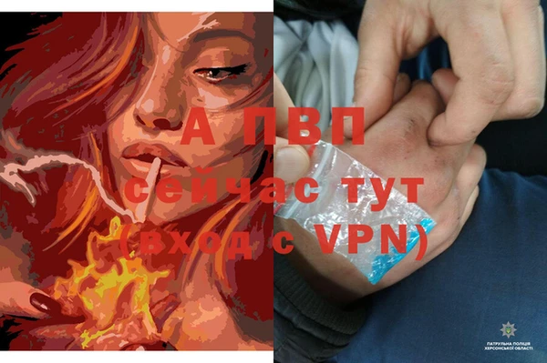 a pvp Алексеевка