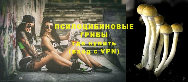 ПСИЛОЦИБИНОВЫЕ ГРИБЫ Алзамай
