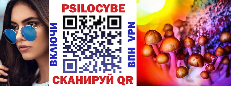 Галлюциногенные грибы Cubensis Боровск