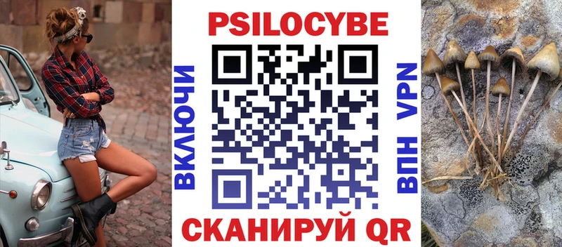 Псилоцибиновые грибы Psilocybe  Боровск 